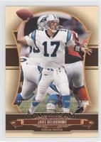 Jake Delhomme #/100