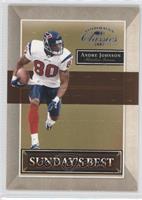 Andre Johnson #/25