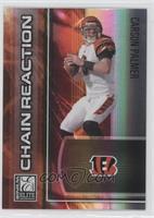 Carson Palmer #/400