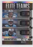 Jake Delhomme, Steve Smith, DeAngelo Williams #/800