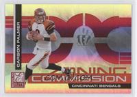 Carson Palmer #/200