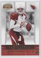 Matt Leinart #/500