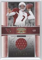 Matt Leinart #/250