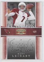 Matt Leinart #/250