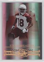 Rookie - Steve Breaston #/250