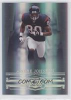 Andre Johnson #/100