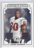 Andre Johnson #/250