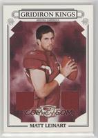 Matt Leinart #/250