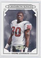 Andre Johnson #/250