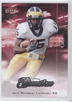 Ultra Rookies - Steve Breaston