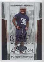 New Generation - Brandon Meriweather #/399