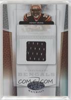 Freshman Fabric - Kenny Irons #/1,499