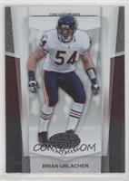 Brian Urlacher