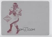 Phenoms - Kevin Kolb #/1