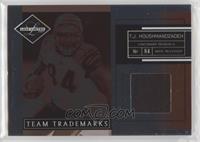 T.J. Houshmandzadeh #/99