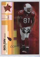 Anquan Boldin #/49