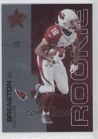 Rookie - Steve Breaston #/999