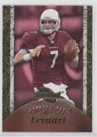 Matt Leinart #/499