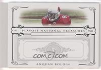 Anquan Boldin #/100