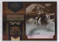 Brian Urlacher #/25