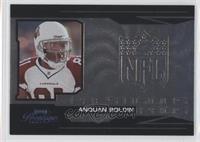 Anquan Boldin #/500