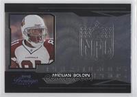 Anquan Boldin #/500