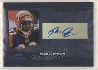 Rudi Johnson #/25