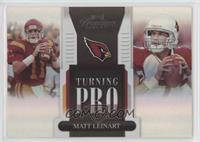 Matt Leinart #/25