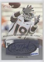 Brandon Meriweather #/400