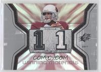 Matt Leinart