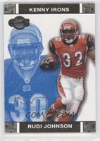 Rudi Johnson, Kenny Irons #/349