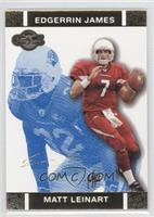 Matt Leinart, Edgerrin James #/349