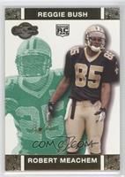 Robert Meachem, Reggie Bush #/249