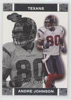 Andre Johnson [EX to NM]