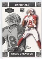 Steve Breaston #/2,249