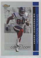 Andre Johnson #/299