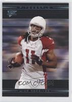 Larry Fitzgerald