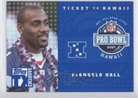 DeAngelo Hall #/499