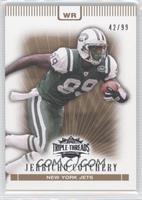 Jerricho Cotchery #/99