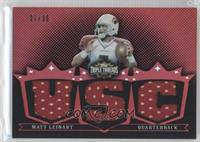 Matt Leinart #/36