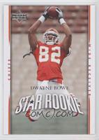 Star Rookie - Dwayne Bowe