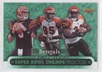 Cincinnati Bengals Team