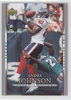 Andre Johnson