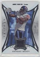 Andre Johnson #/199