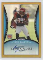 Andre Caldwell #/25