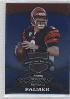 Carson Palmer #/349