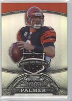 Carson Palmer #/199