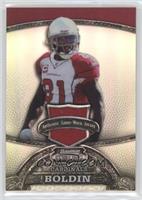 Anquan Boldin #/199