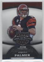 Carson Palmer #/389