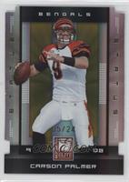 Carson Palmer #/24